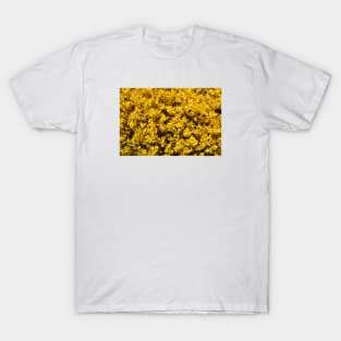 Spring yellow / Swiss Artwork Photography T-Shirt